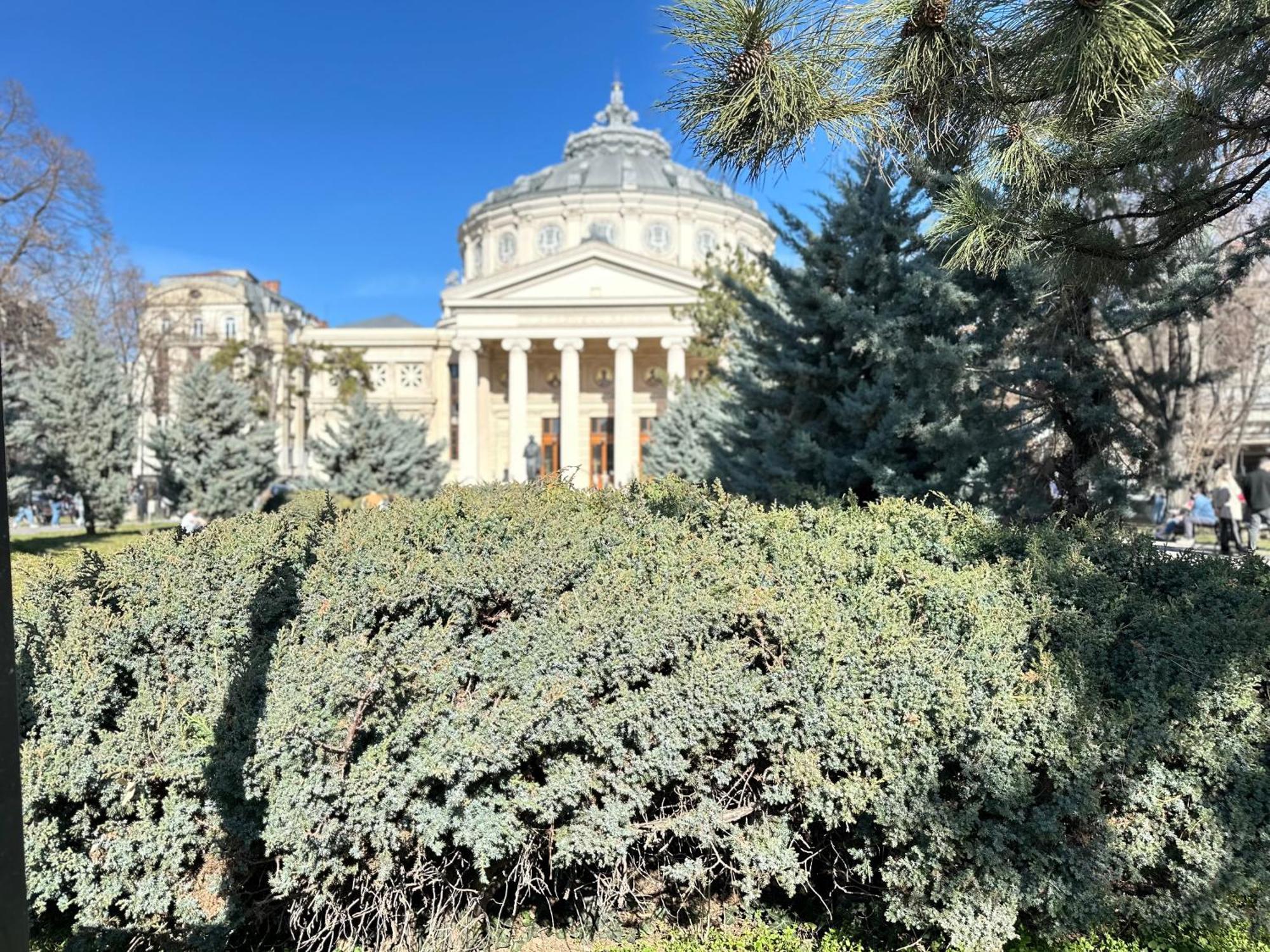 2Rooms Apartment Calea Victoriei - Atheneum Bucureşti Ngoại thất bức ảnh